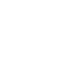 Newlywed Support