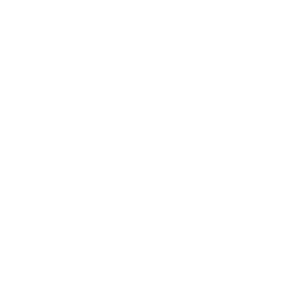 Newlyweds